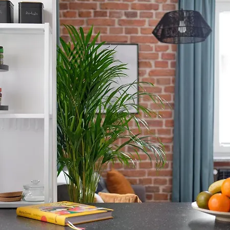 Mikroklimatyczny Dla 4 Osob - Blisko Szlakow, W Centrum *